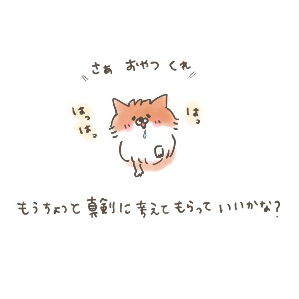 ポメラニアン「くぅ」の漫画:儀礼的なお手 その3