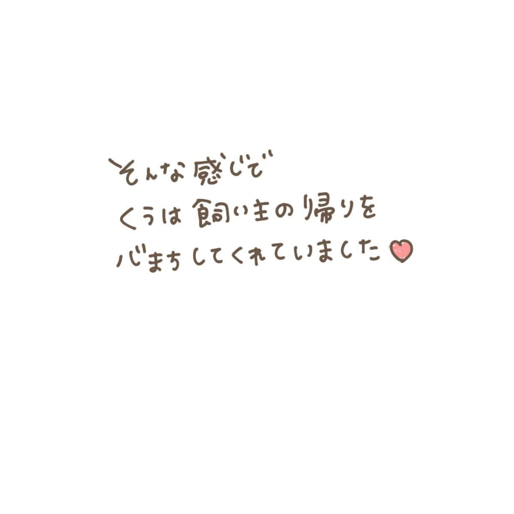 そんな感じでくぅは飼い主の帰りを心待ちに